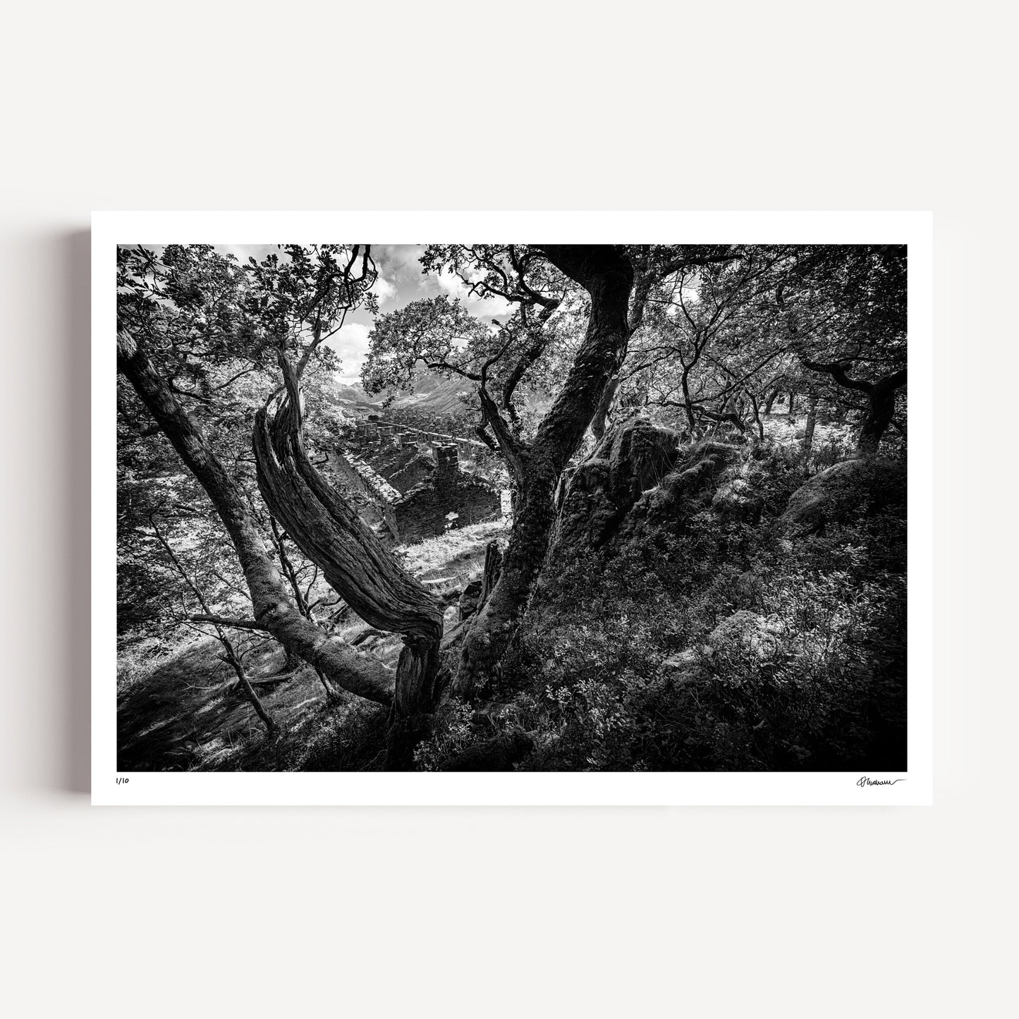 "Discovery" - Anglesey Barracks, Dinorwic Quarry