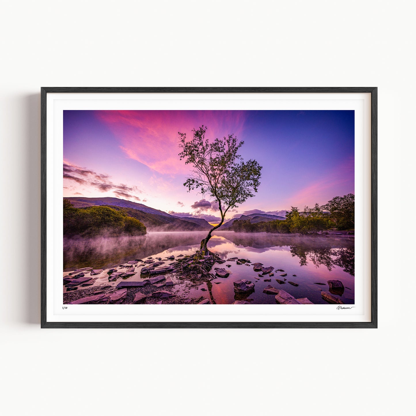 "The Lone Tree" - Lynn Padarn, Llanberis