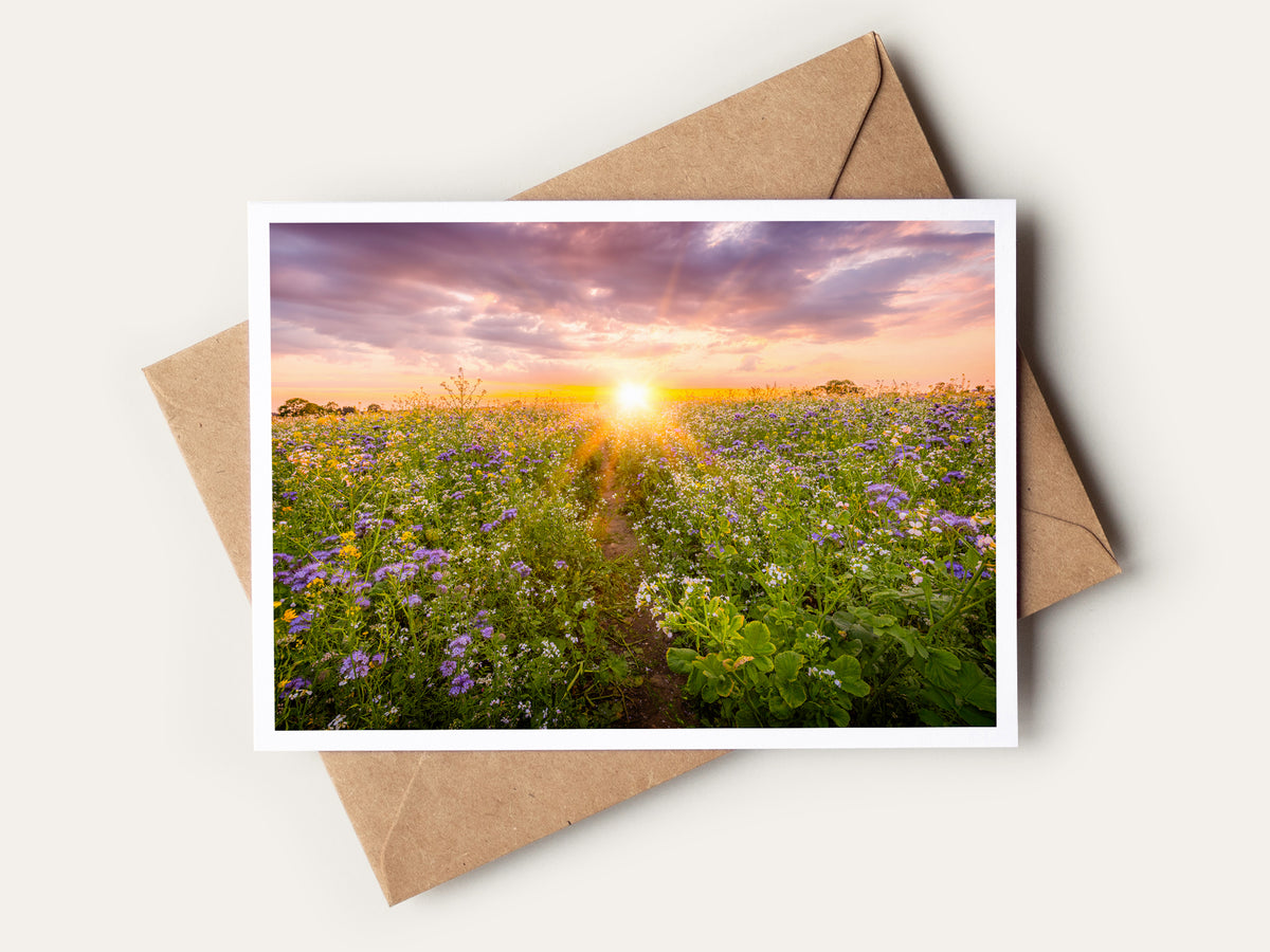 Sunset Num3 Greetings Card