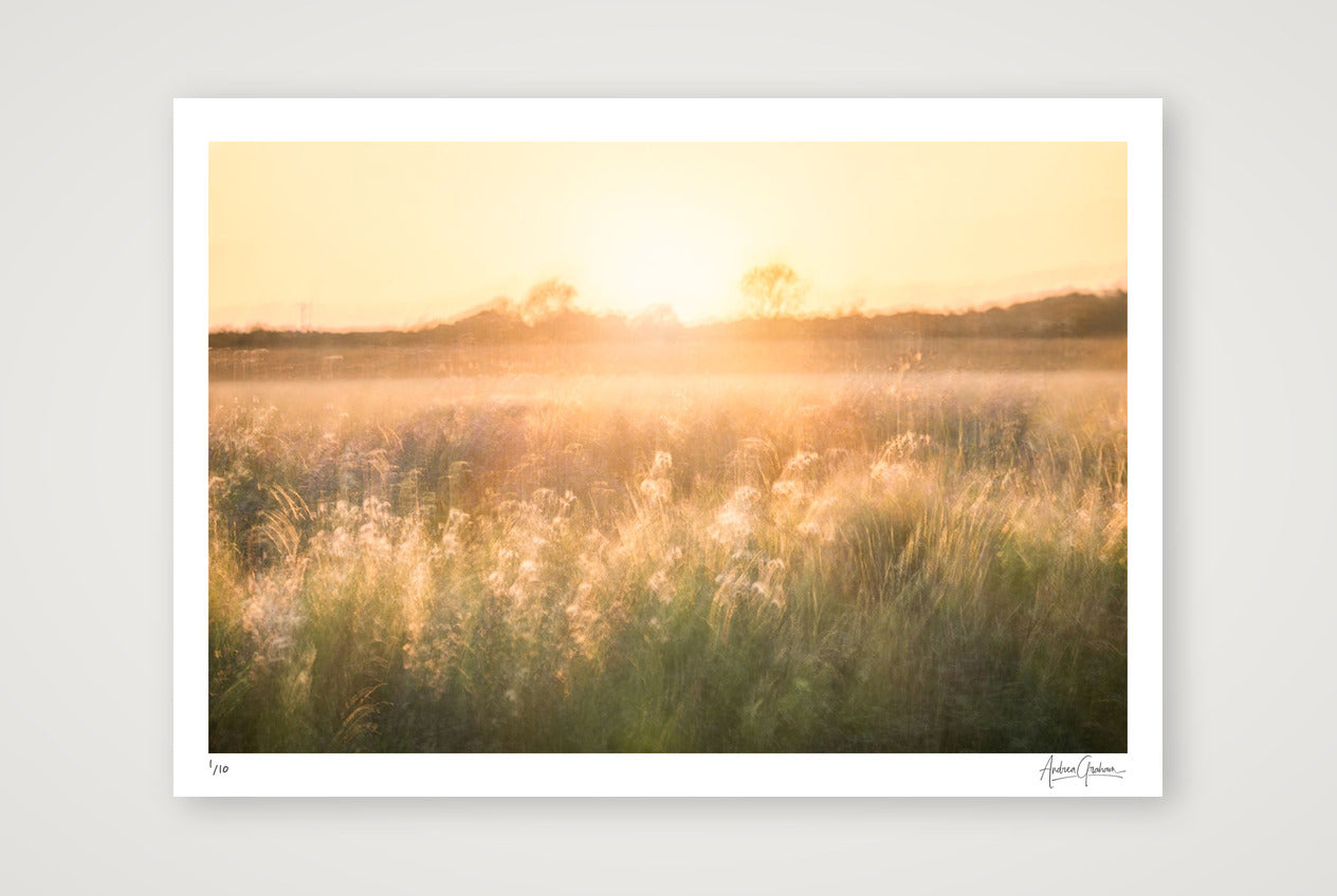 Golden Reverie — A2 (59×42cm, 23×17") Print only