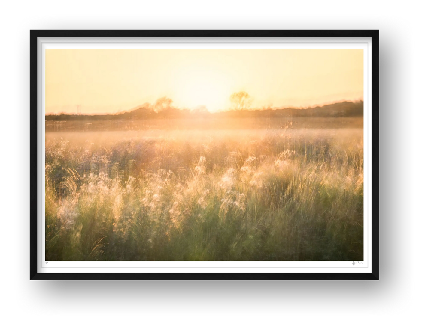 Golden Reverie — framed