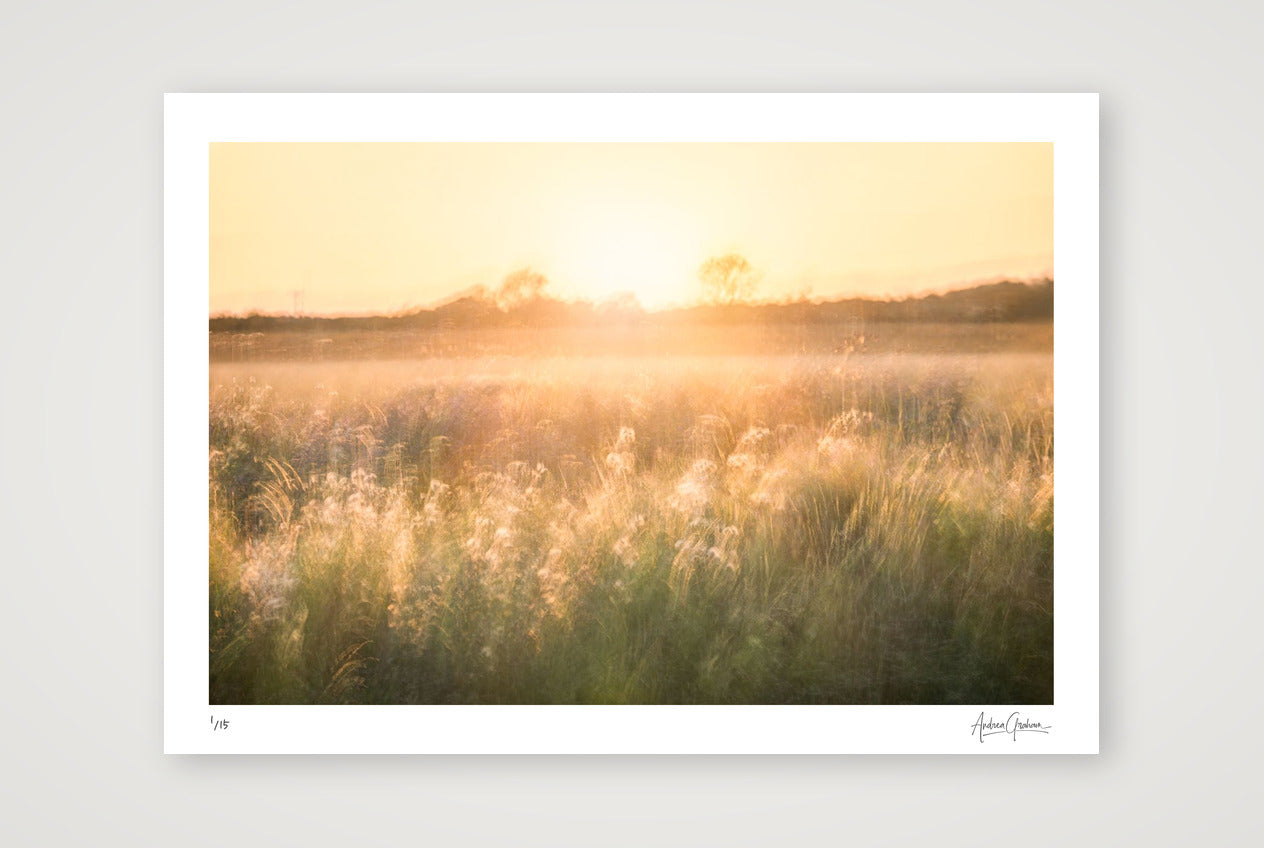 Golden Reverie — A3 (42×30cm, 17×12") Print only
