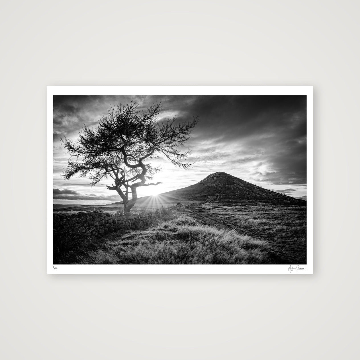 Roseberry — A1 (84×59cm, 33×23") Print only