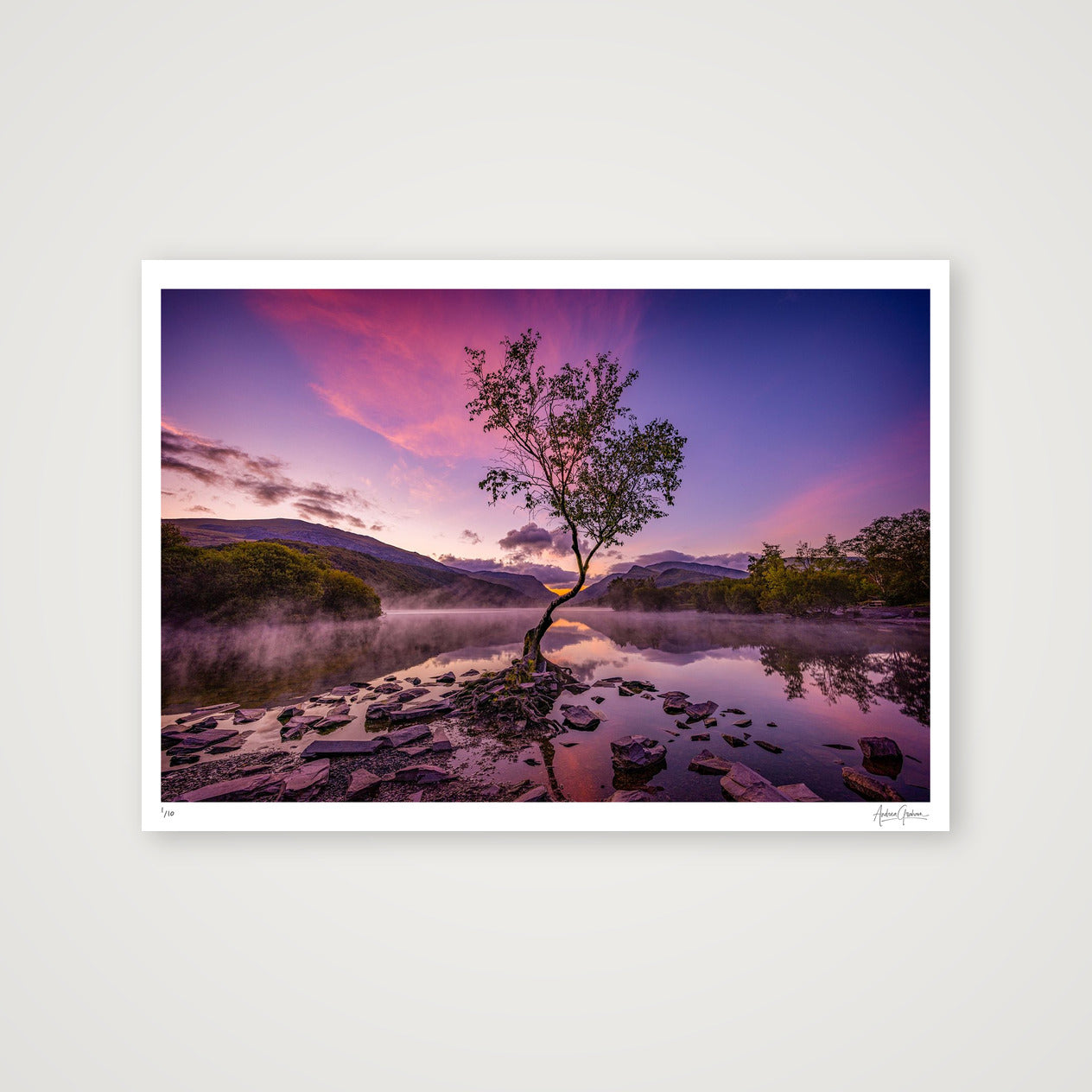 The Lone Tree — A1 (84×59cm, 33×23") Print only