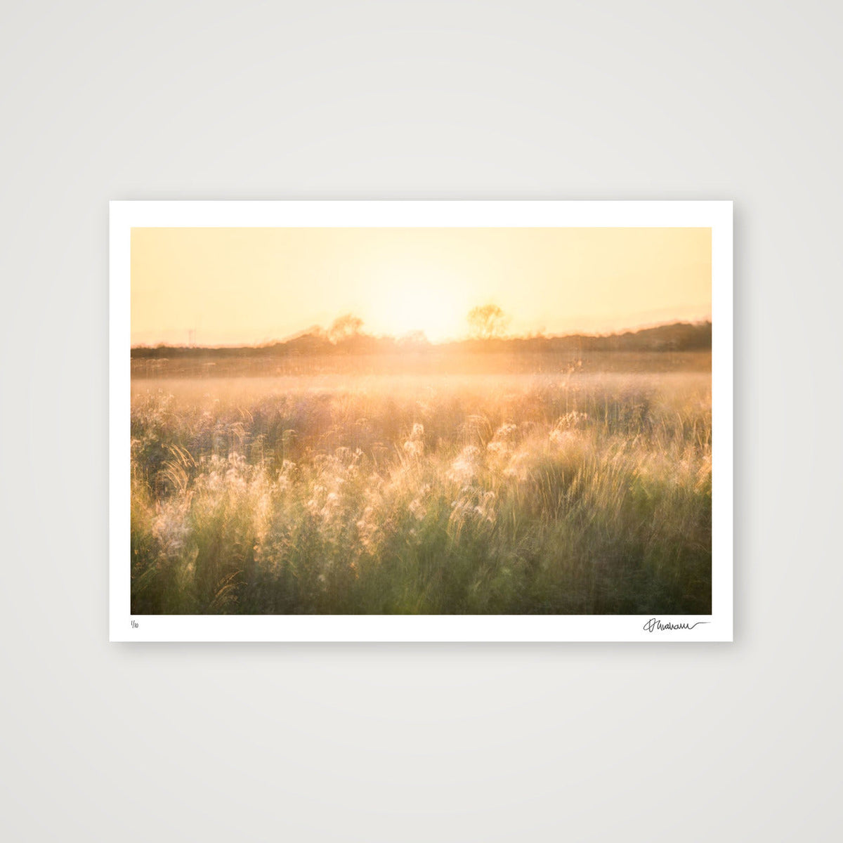 Golden Reverie — A2 (23×17") Print only