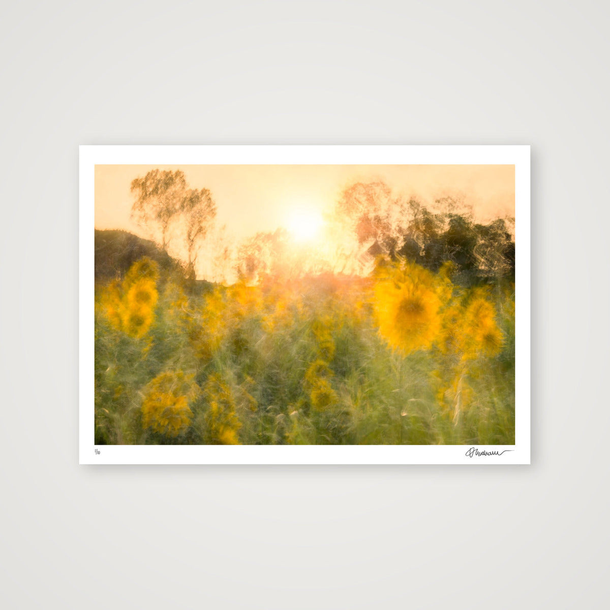 Held in The Light — A2 (23×17") Print only