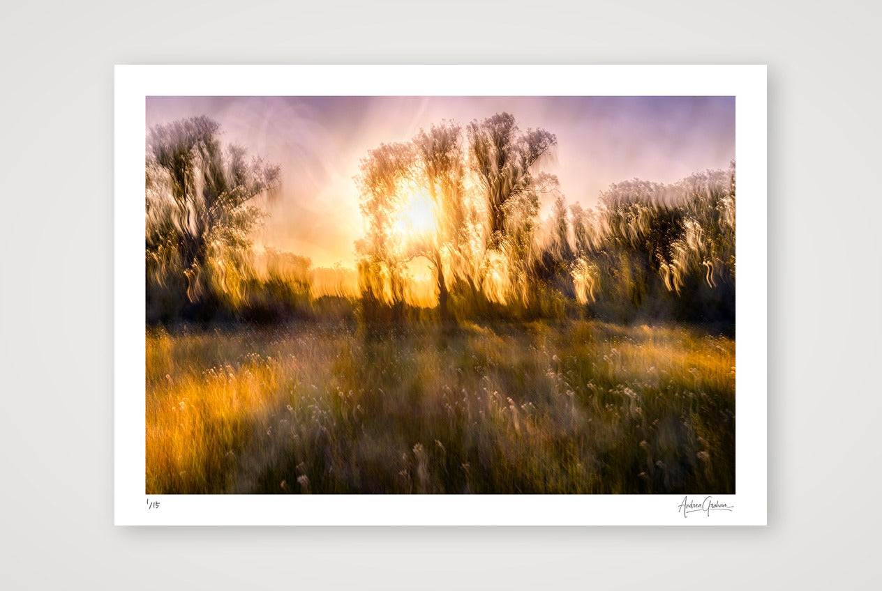 Spring Remembered — A3 (42×30cm, 17×12") Print only