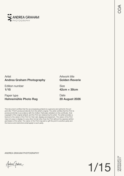 Golden Reverie — Certificate of Authenticity