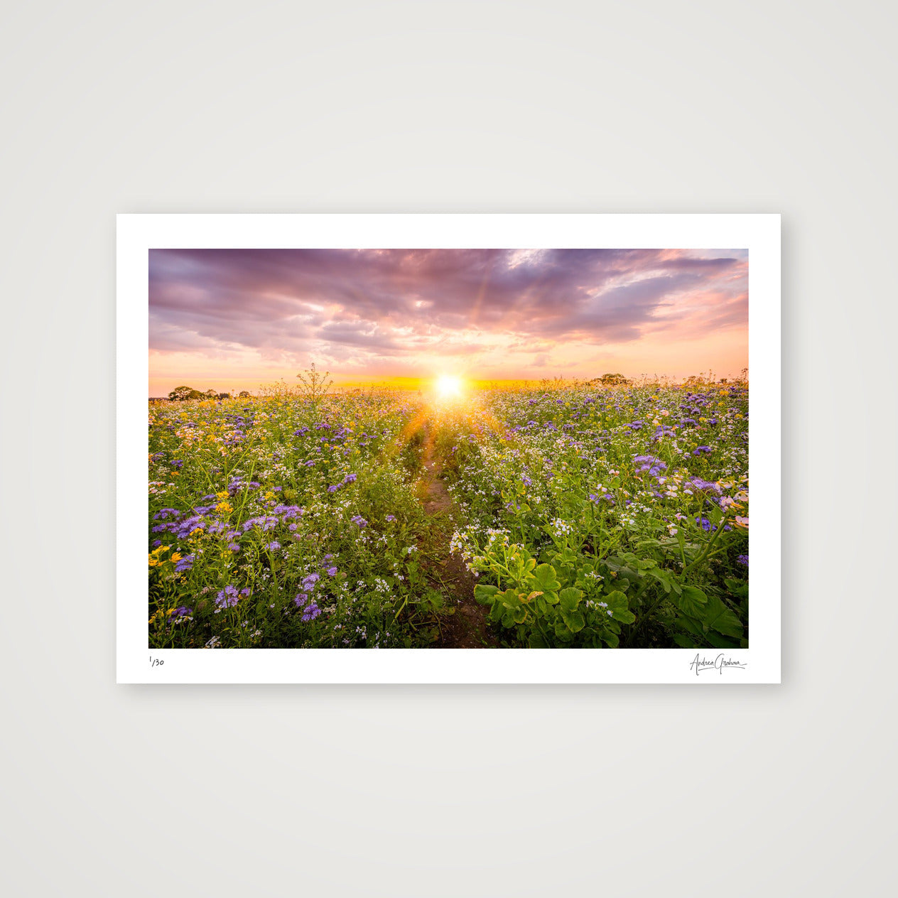 Sunset NUM3 — A3 (42×30cm, 17×12") Print only