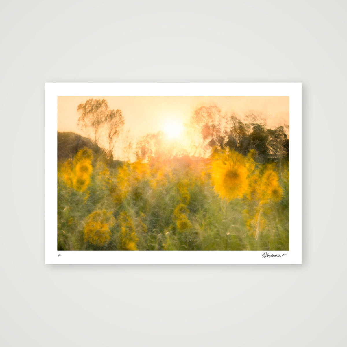 Held in The Light — A3 (17×12") Print only
