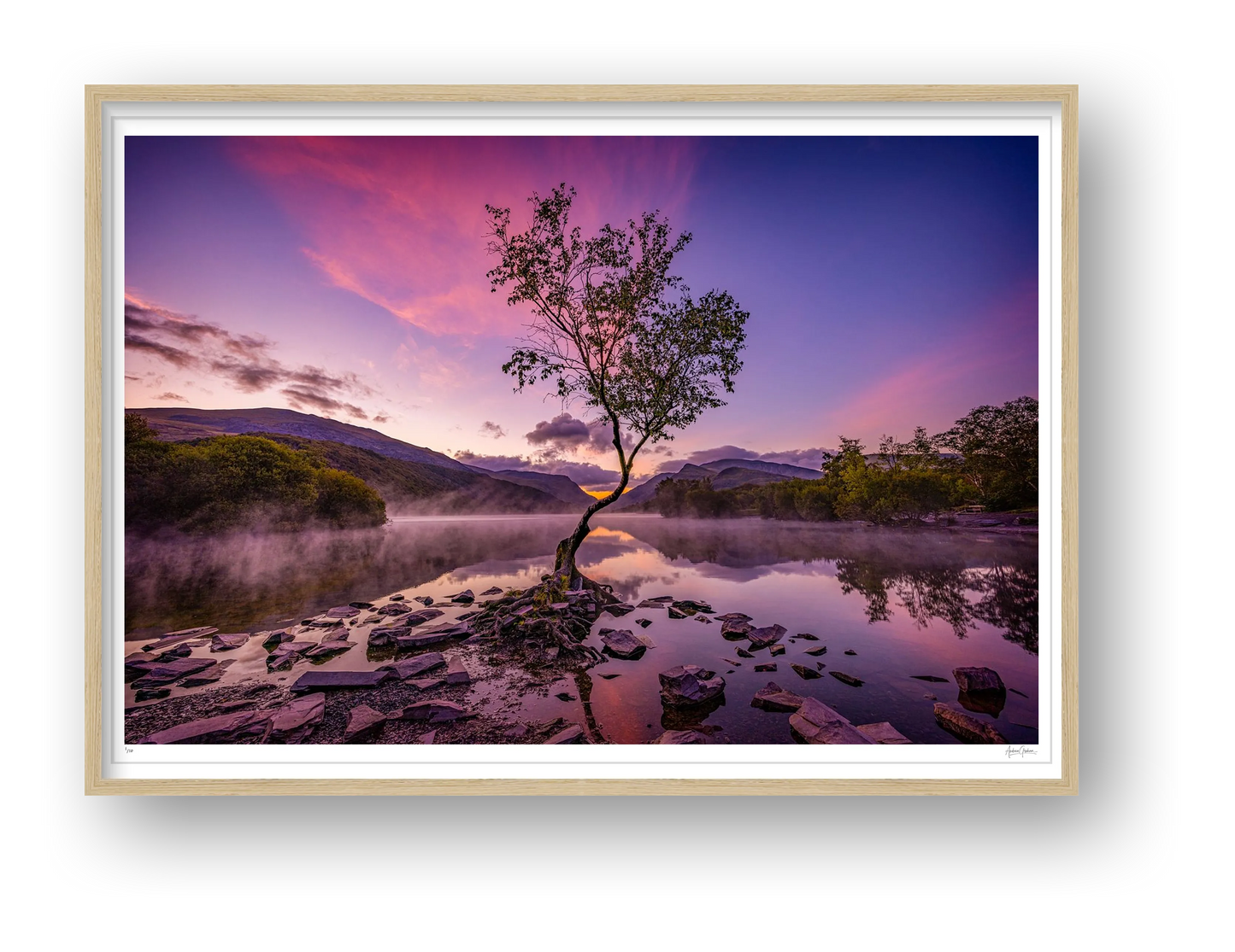 The Lone Tree — framed