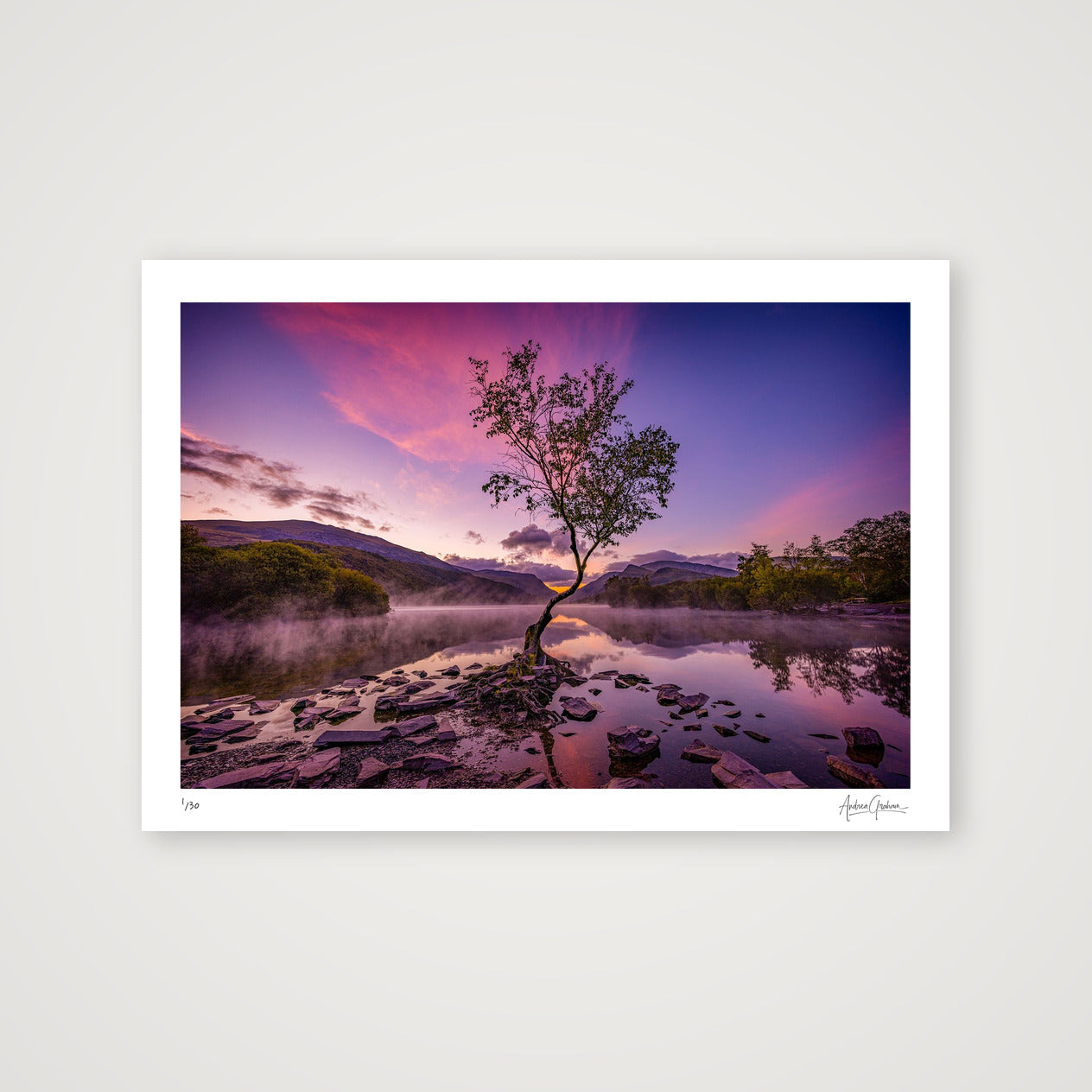 The Lone Tree — A3 (42×30cm, 17×12") Print only