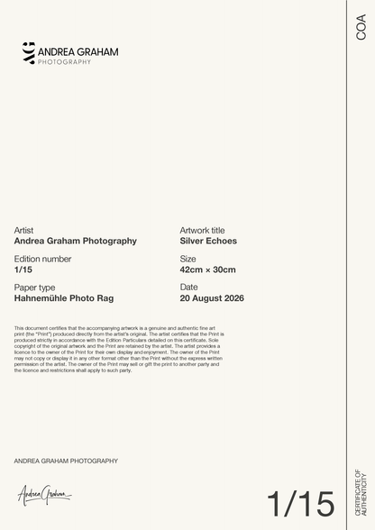 Silver Echoes — Certificate of Authenticity