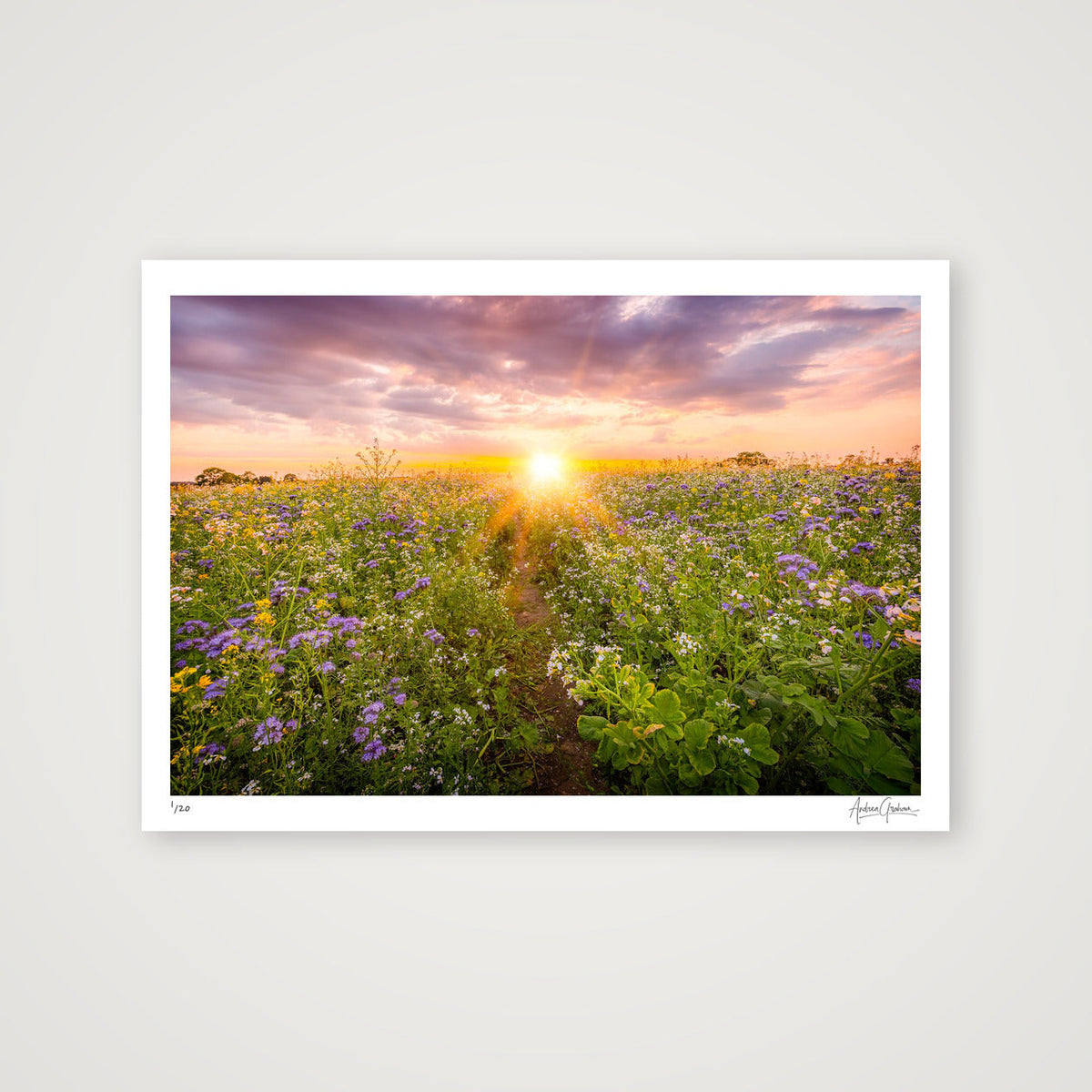 Sunset NUM3 — A2 (59×42cm, 23×17") Print only