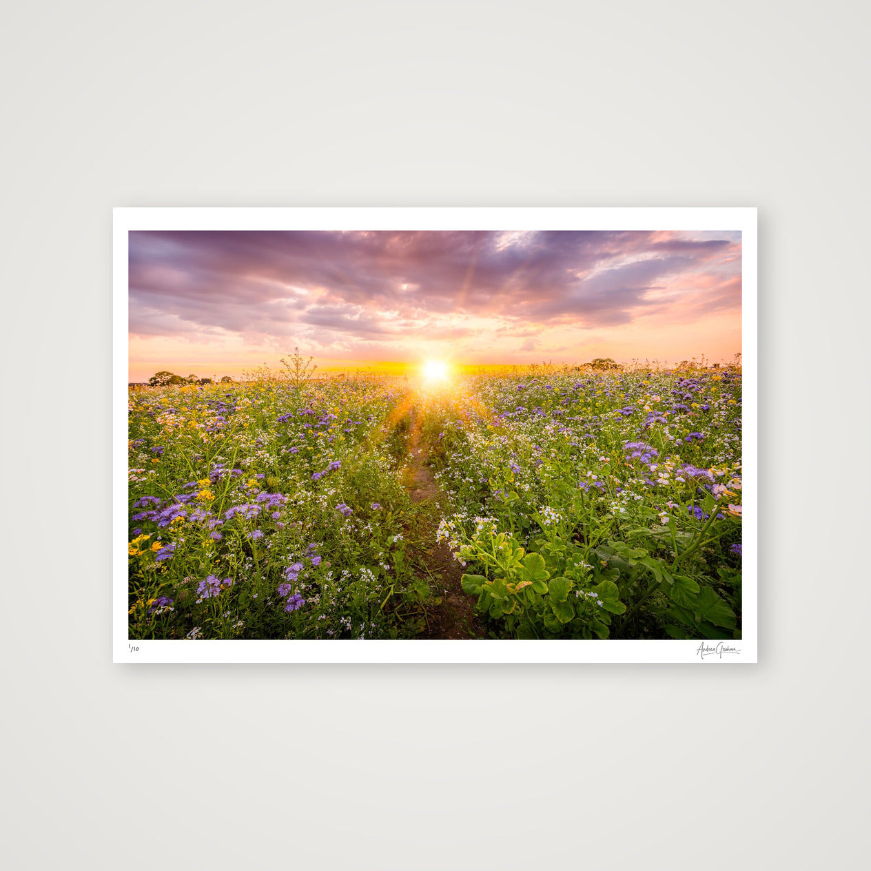 Sunset NUM3 — A1 (84×59cm, 33×23") Print only