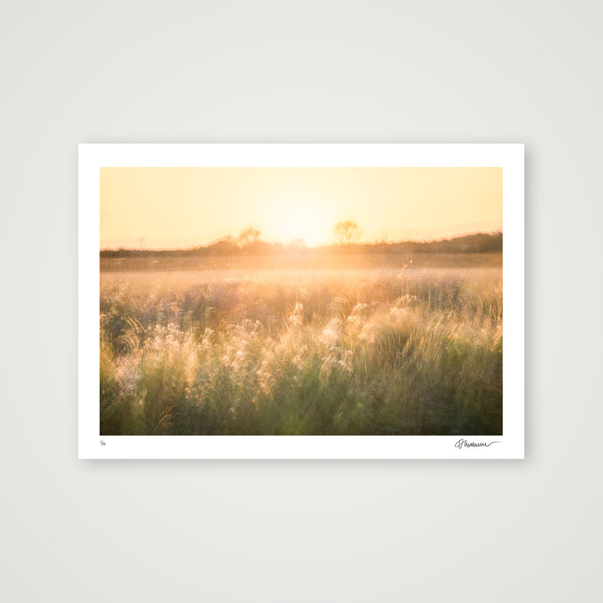 Golden Reverie — A3 (17×12") Print only