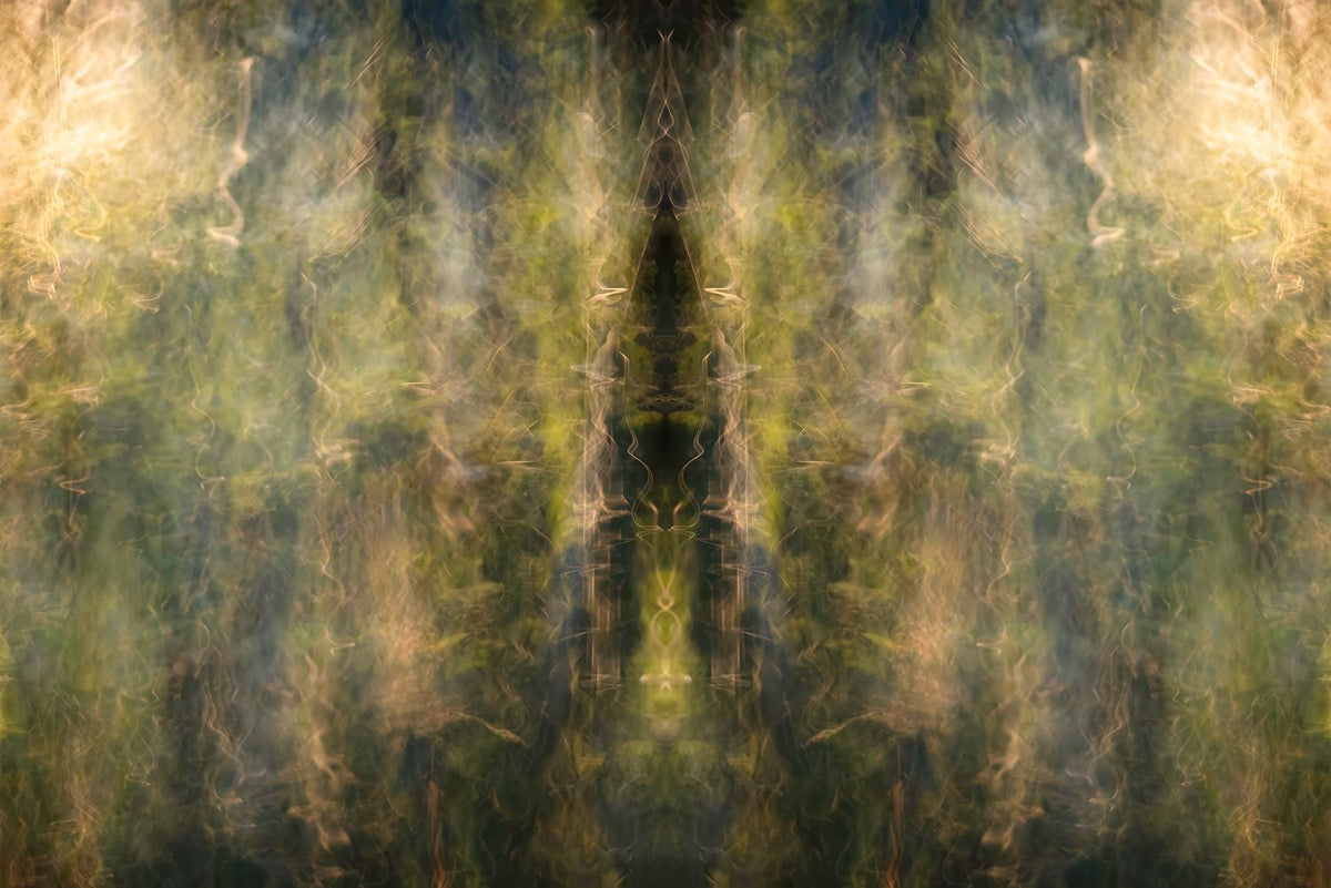 The Watcher Within