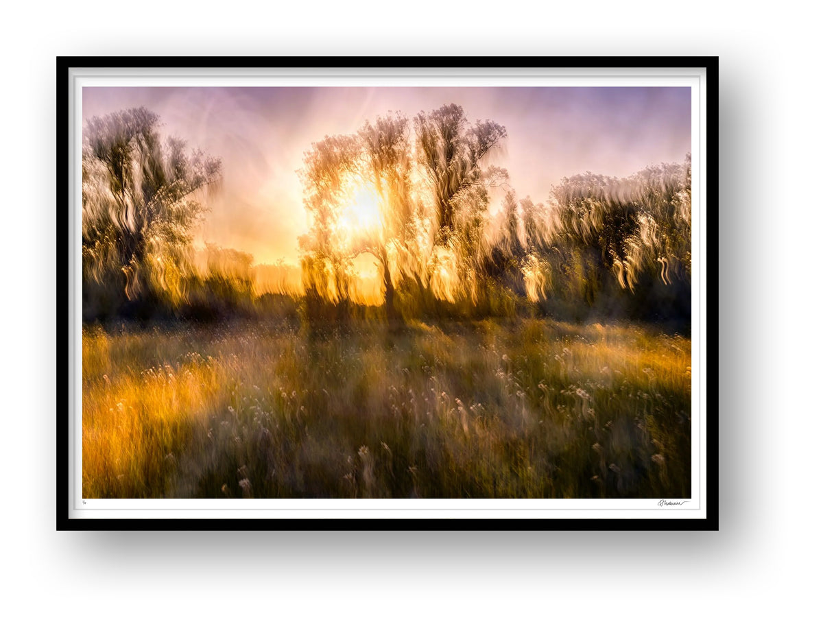 Spring Remembered