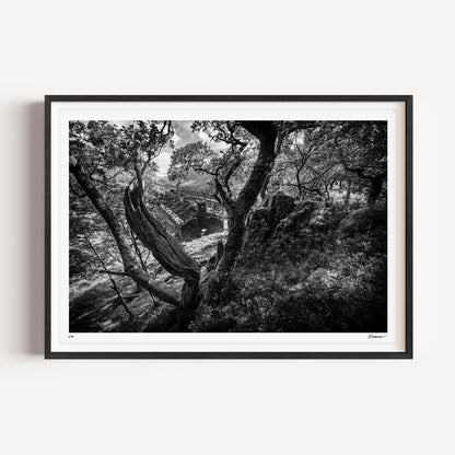 "Discovery" - Anglesey Barracks, Dinorwic Quarry