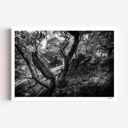 "Discovery" - Anglesey Barracks, Dinorwic Quarry