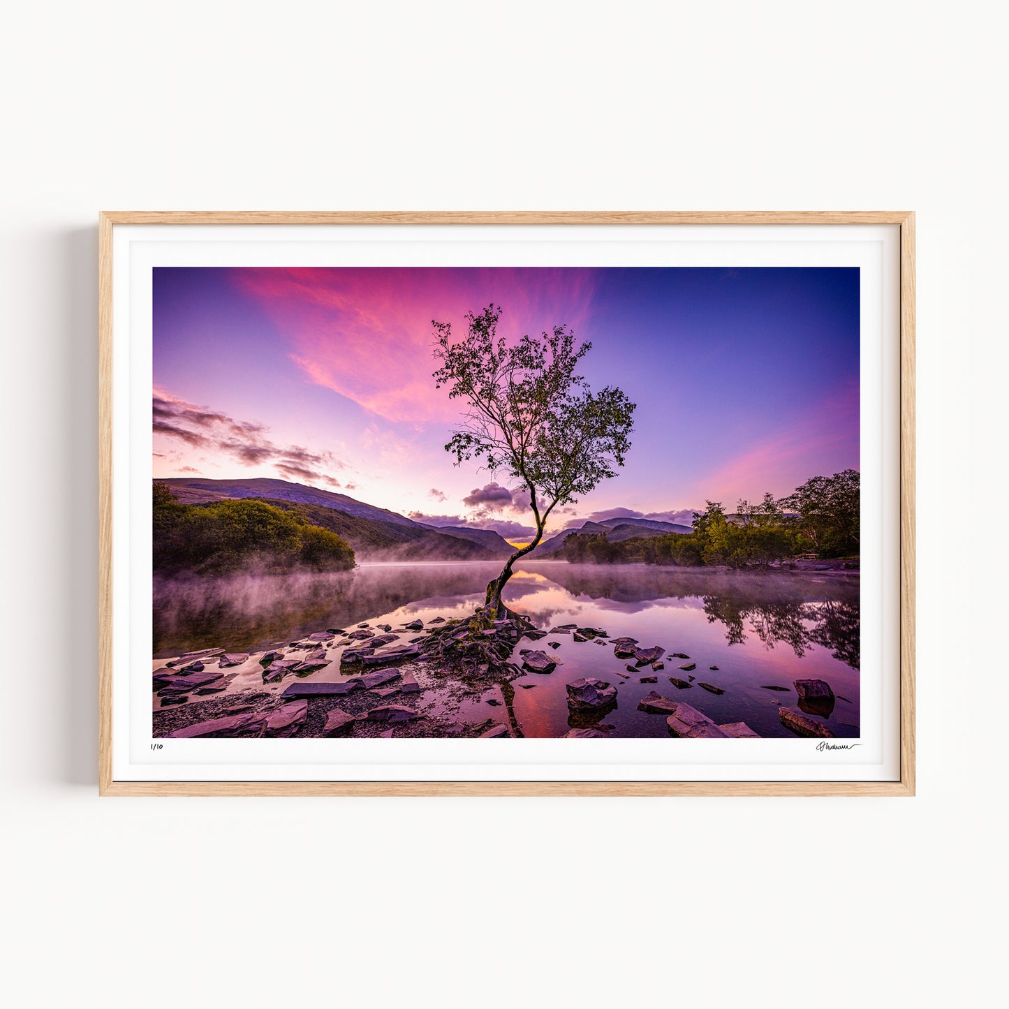 "The Lone Tree" - Lynn Padarn, Llanberis