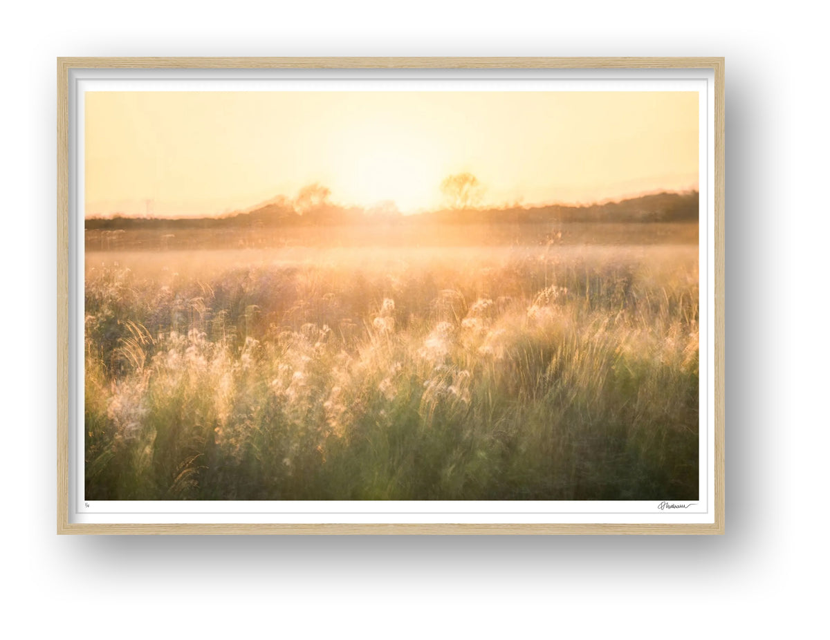Golden Reverie