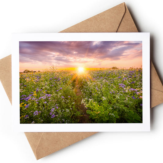"Sunset Num3" - Fiskerton, Lincolnshire