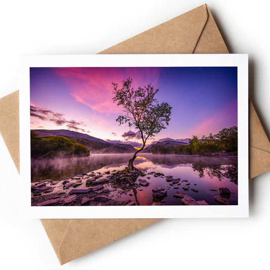 "The Lone Tree" - Lynn Padarn, Llanberis
