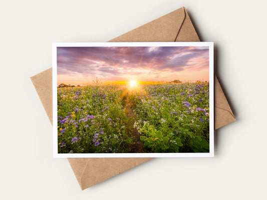 Sunset Num3 Greetings Card