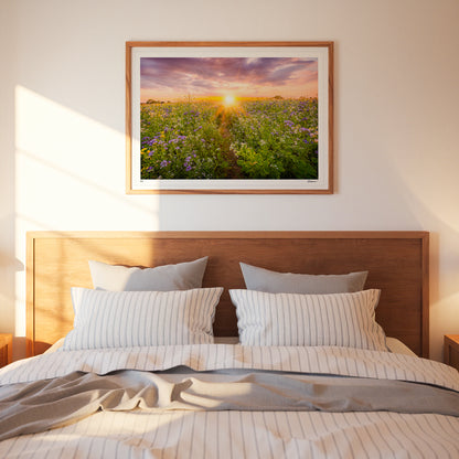 "Sunset NUM3" - Fiskerton, Lincoln