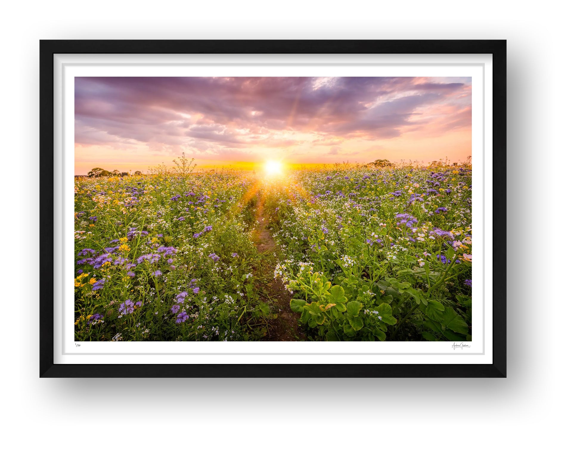 Sunset NUM3 - Framed Black