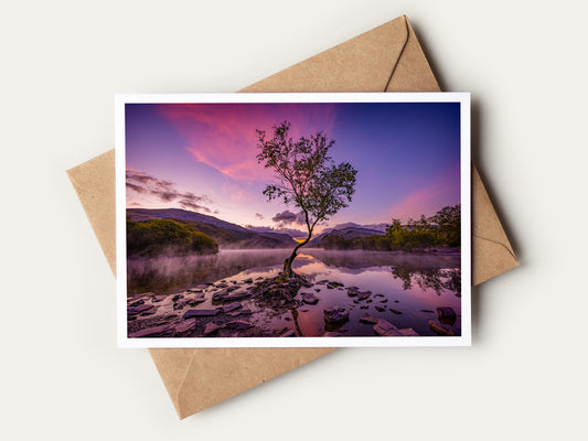 The Lone Tree Greetings Card