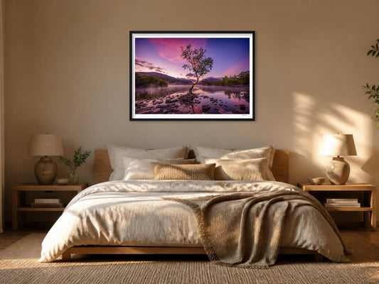 The Lone Tree