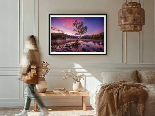 The Lone Tree