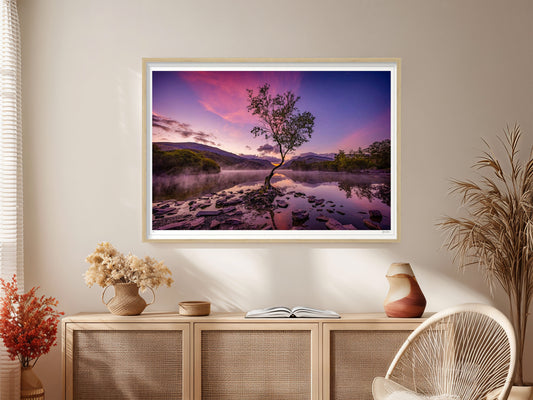 The Lone Tree