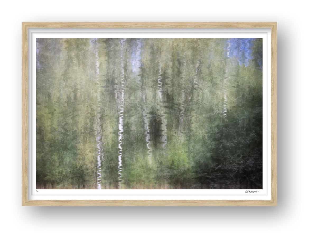 Silver Echoes — framed