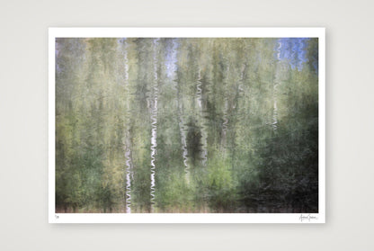 Silver Echoes — A1 (84×59cm, 33×23") Print only