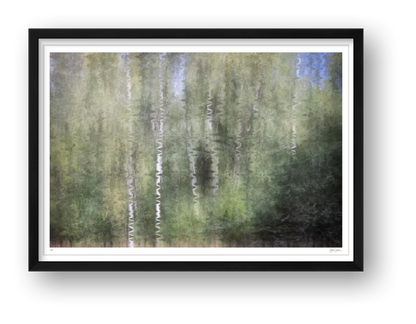 Silver Echoes — framed
