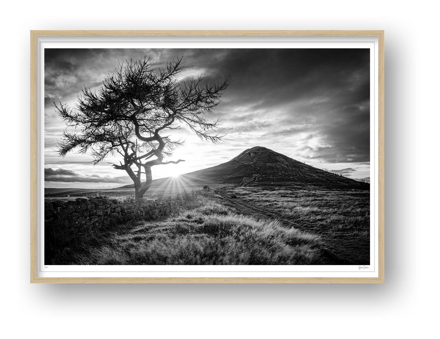 Roseberry — framed