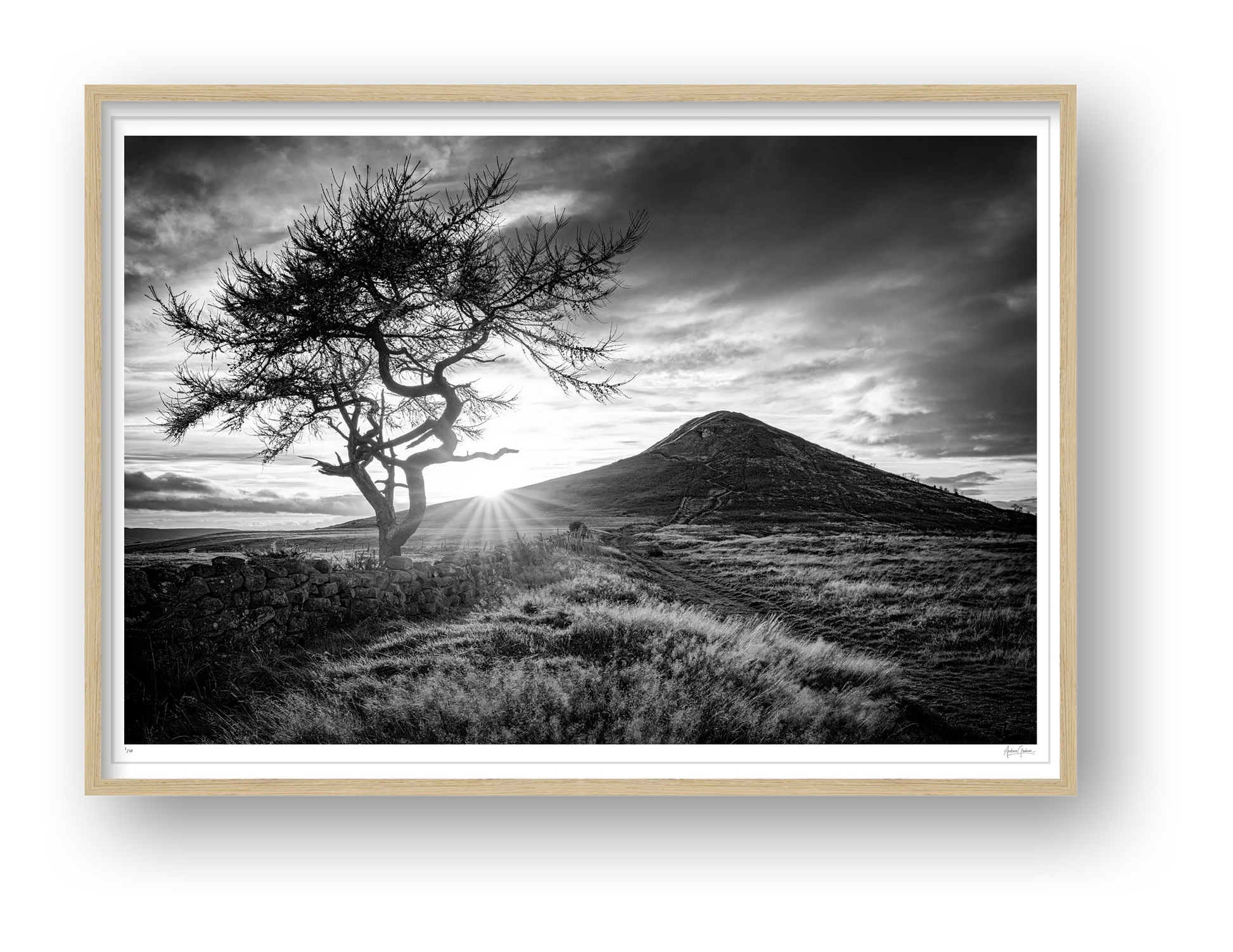 Roseberry — framed
