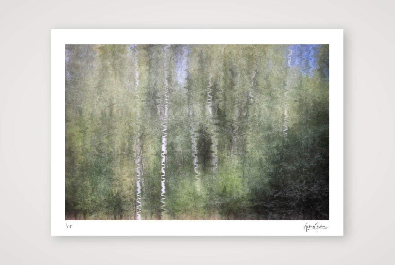 Silver Echoes — A3 (42×30cm, 17×12") Print only