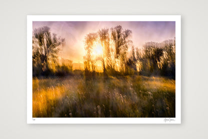 Spring Remembered — A2 (59×42cm, 23×17") Print only