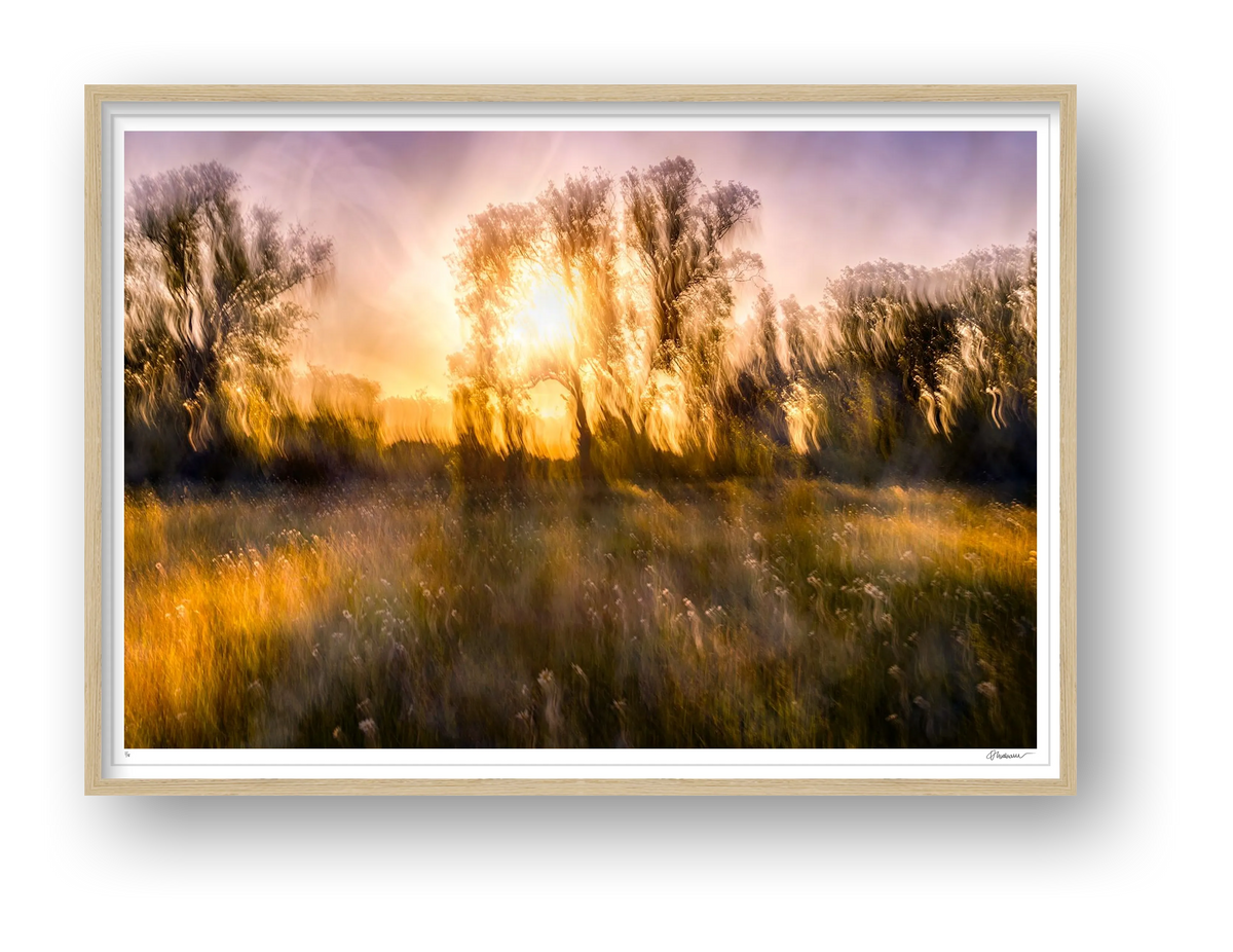 Spring Remembered — framed