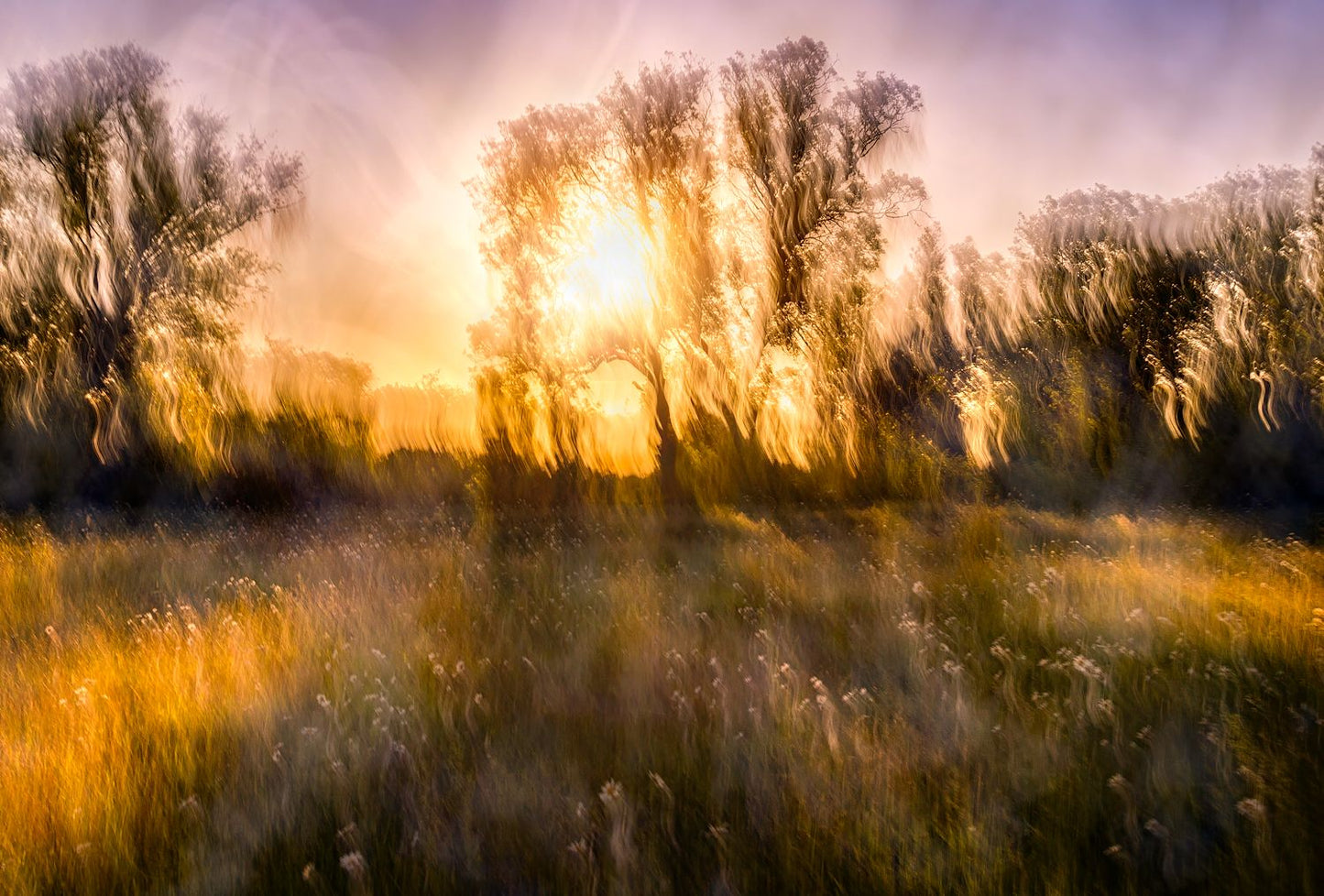 Spring Remembered
